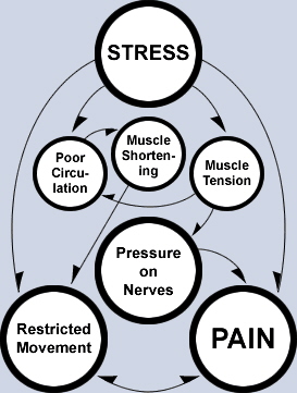 http://www.massagenorthampton.com/images/stress_cycle.jpg